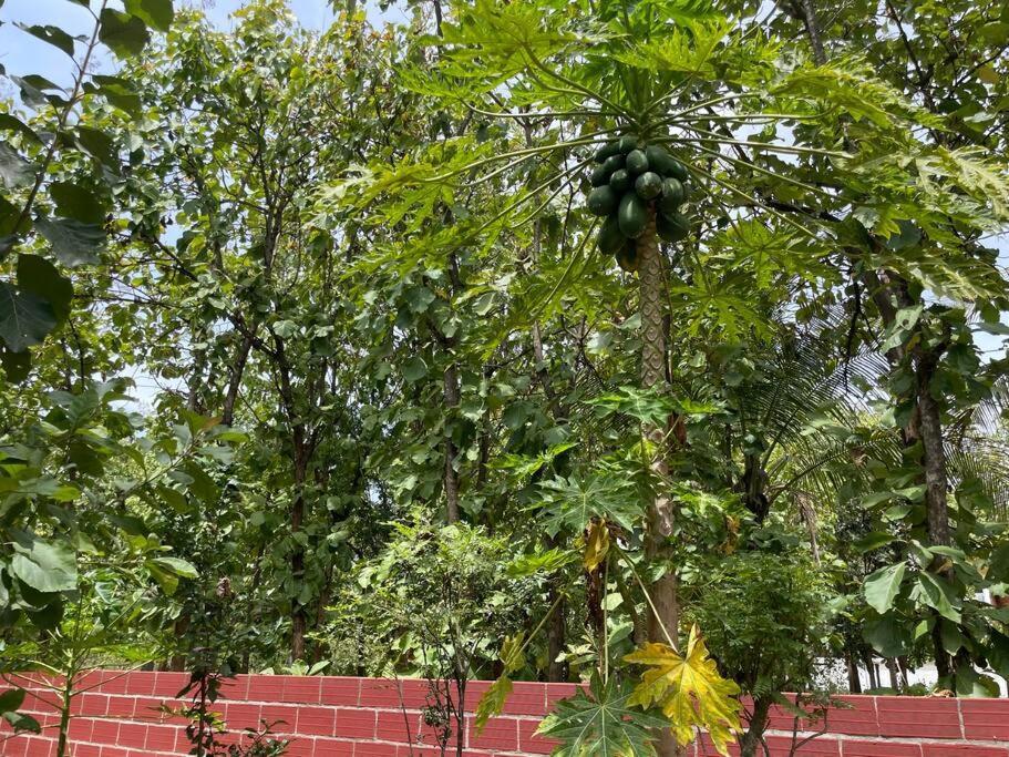 'Vrindavan' In Heritage City Mysuru Bagian luar foto